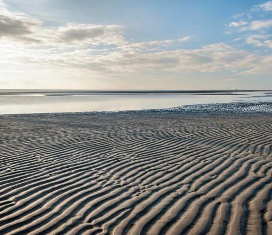 Гамбургское Ваттовое море: интересные факты о национальном парке Германии