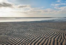 Das Hamburger Wattenmeer: Interessante Fakten über Deutschlands Nationalpark