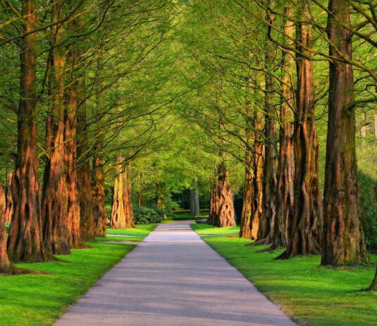 О курортной зоне в Гамбурге