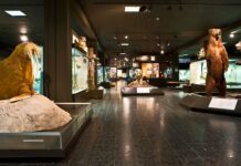 Zoologisches Museum in Hamburg