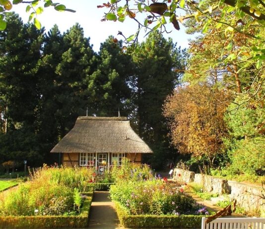 Ботанический сад Гамбурга — сад Локи Шмидт