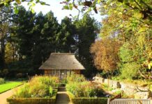 Der Botanische Garten Hamburg – Loki-Schmidt-Garten