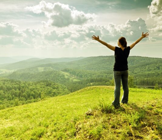 “Зеленый туризм” в Гамбурге