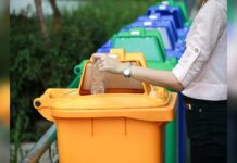 Mülltrennung und Entsorgung in Hamburg