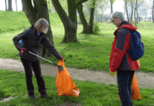 Haupt-Ökotrends in Hamburg