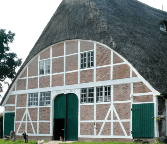 Hof Eggers: как ферма стала символом экожизни Гамбурга