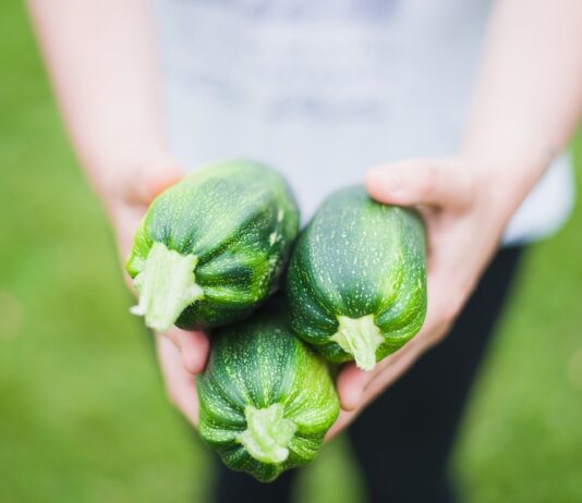 „Stückgut“ – Hamburgs Vorreiter für nachhaltigen Einkauf