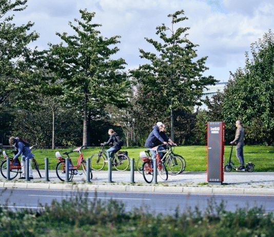 Grüne Korridore in Hamburg: Wie die Stadt die Natur zu einem einzigen Netz verwebt