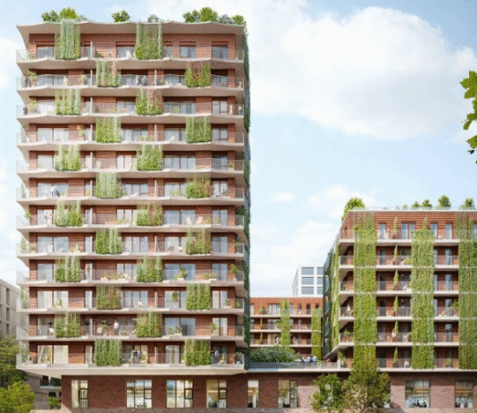 Grünflächen im HafenCity: Wie der neue Stadtteil Hamburgs die Natur an der Elbe bewahrt