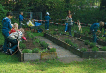 Plant-for-the-Planet in Hamburger Schulen: Umweltbildung durch Baumpflanzungen