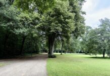 Altonaer Volkspark