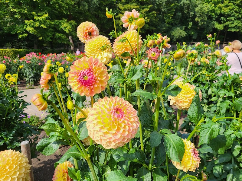 Altonaer Volkspark