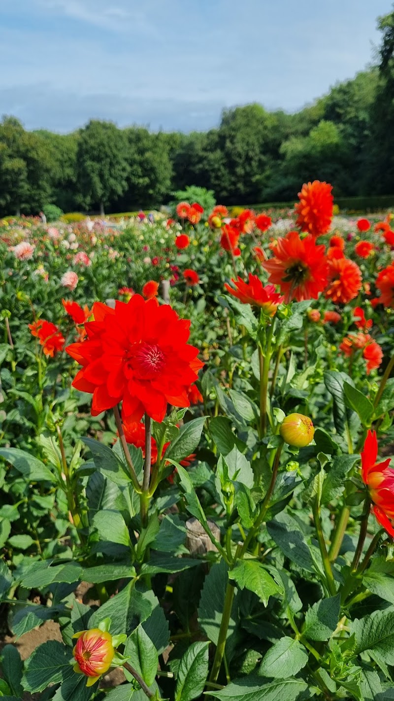 Altonaer Volkspark