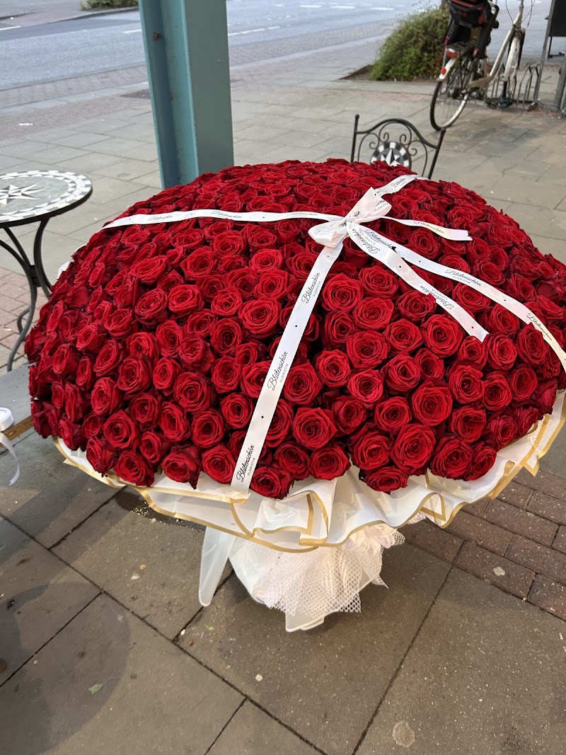 Blumen Blütenschön – Hamburg Eidelstedt