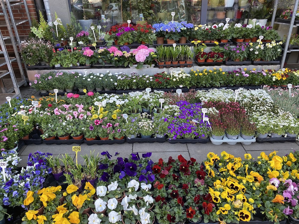 Blumenwelt — Florist