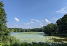 Harburger Stadtpark