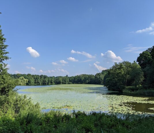 Harburger Stadtpark