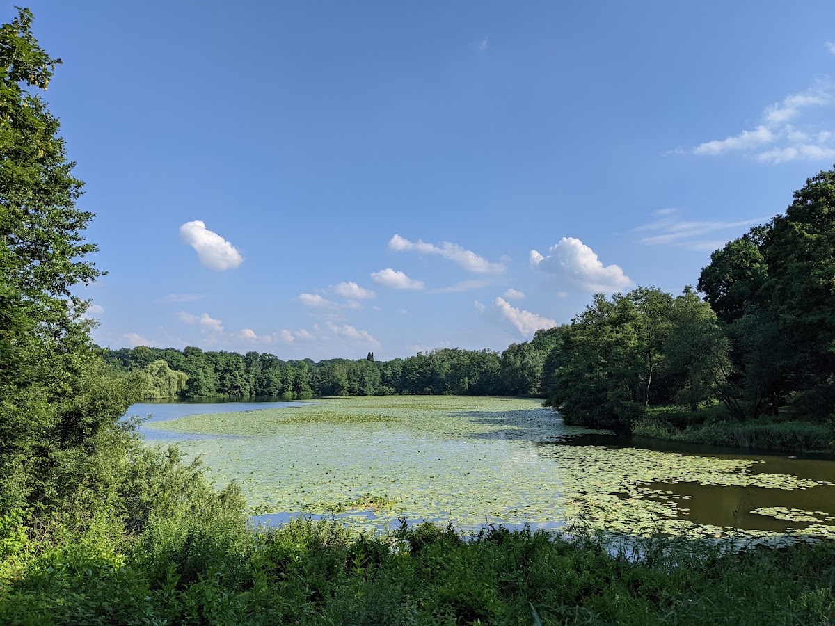 Harburger Stadtpark — Park