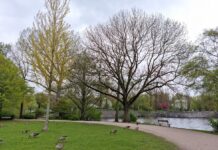 Hayns Park
