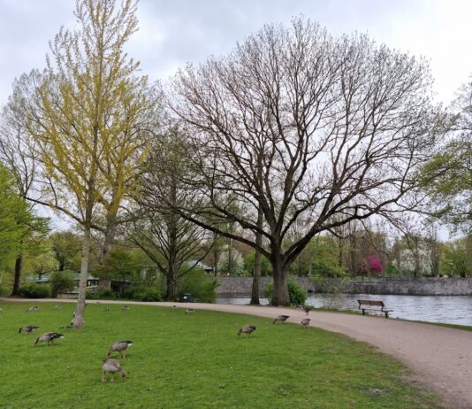 Hayns Park