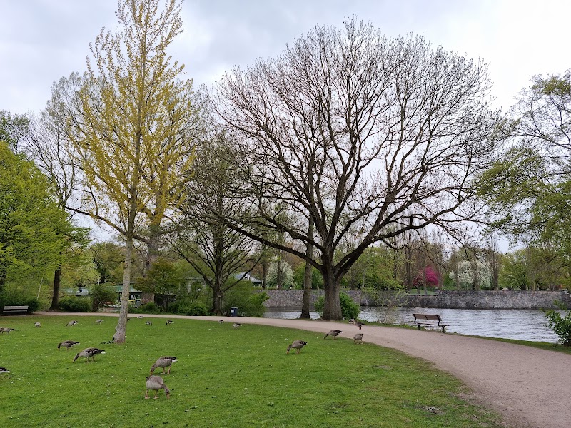 Hayns Park