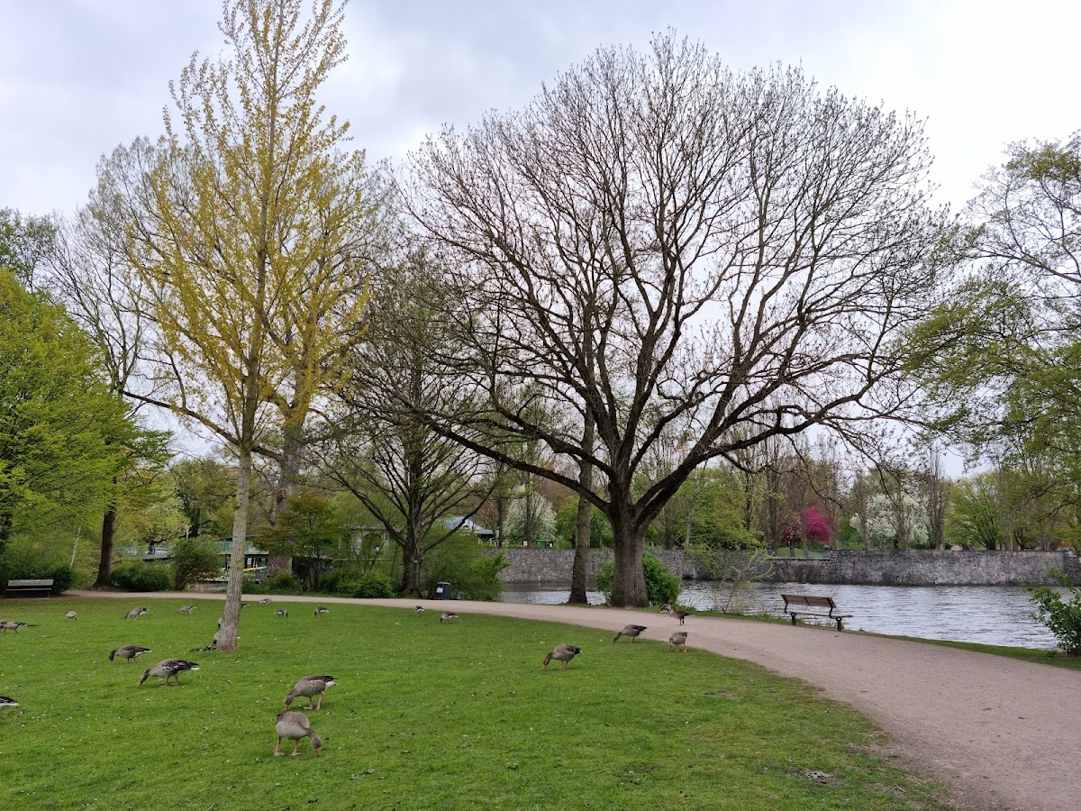 Hayns Park — Park