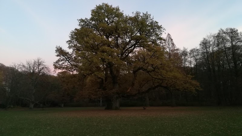 Hirschpark