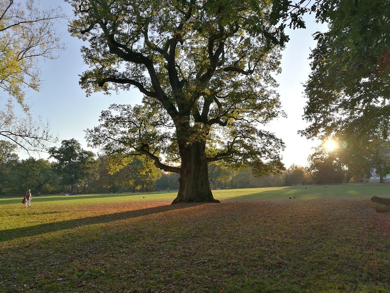 Jenischpark