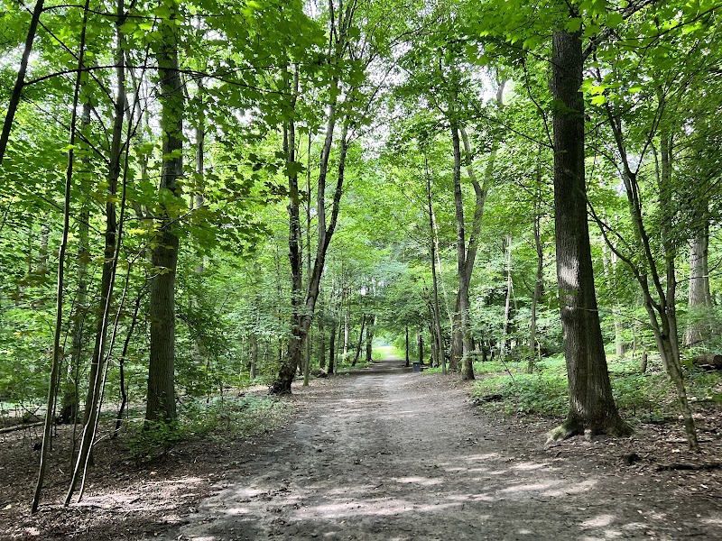 Öjendorfer Park
